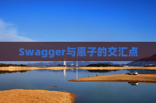 Swagger与惠子的交汇点